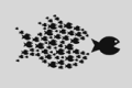 Planetize-the-Movement-Fish